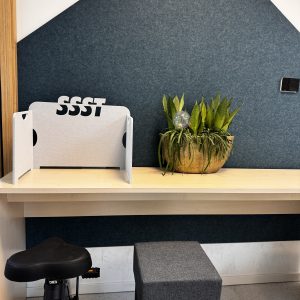 StudyBuddy MINI